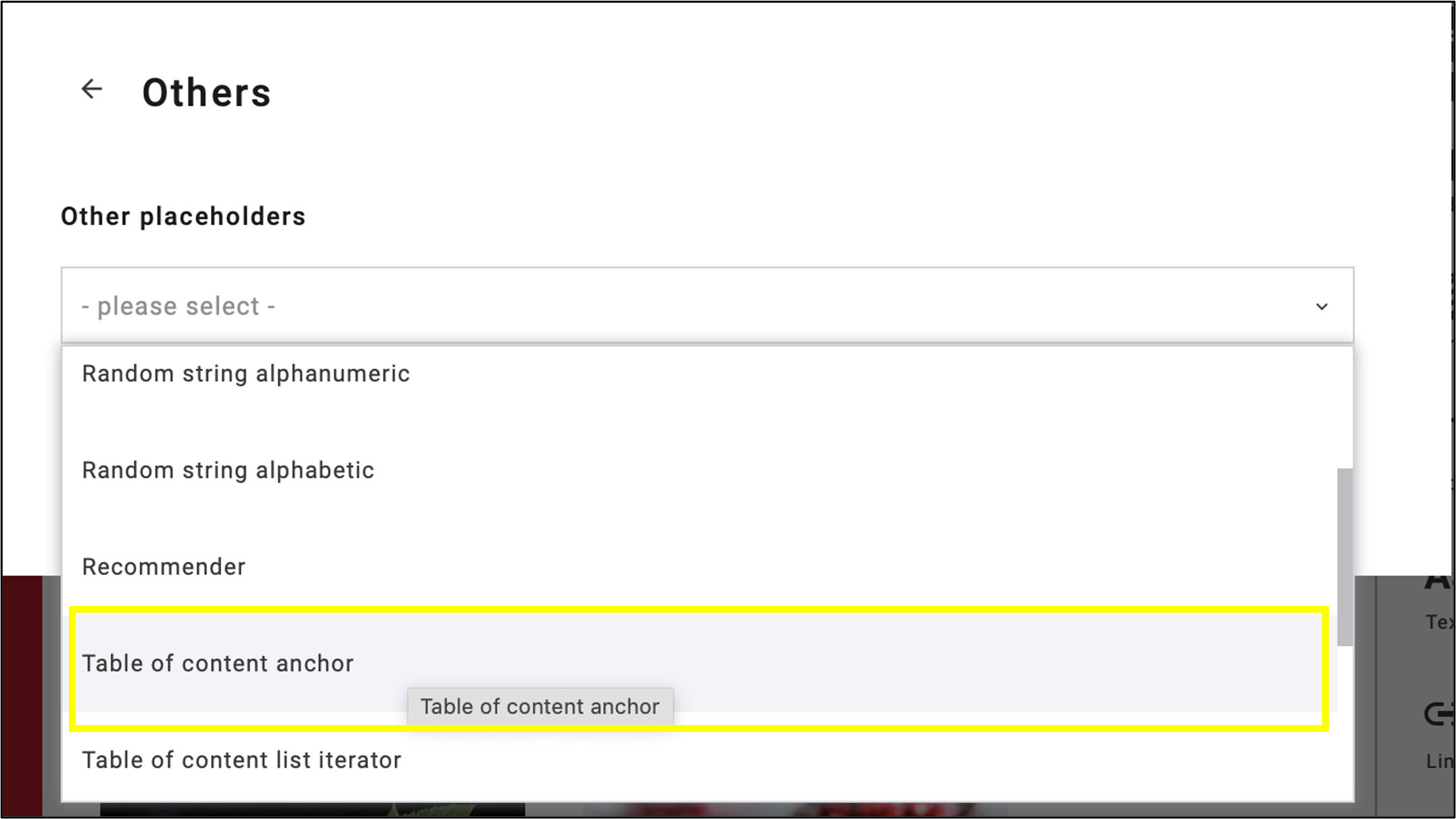 in the Other placeholders dropdown menu Table of content anchor is selected