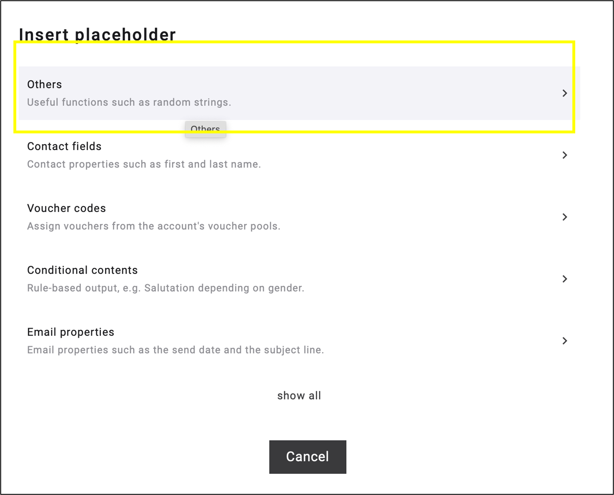 The ‘Insert placeholder’ menu in which the uppermost option others is selected
