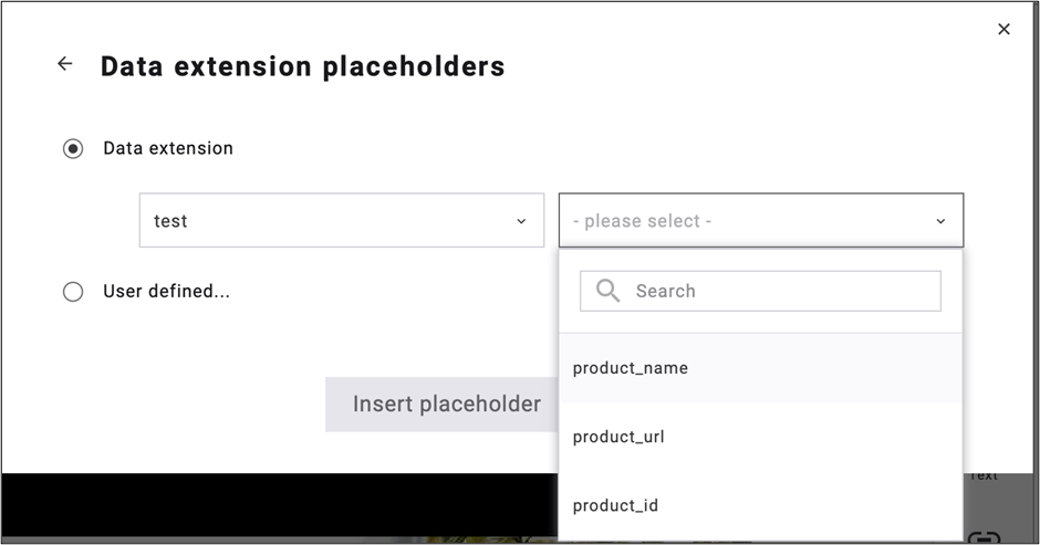 Fig. 24: Click the { } icon to quickly check data extension fields and prevent typos.