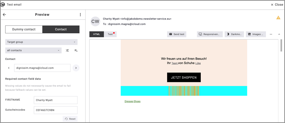 fig. 58: Preview the emailing to verify the inserted code appearance.